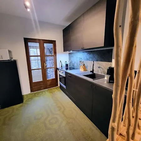 Avec Terrasse Apartment *